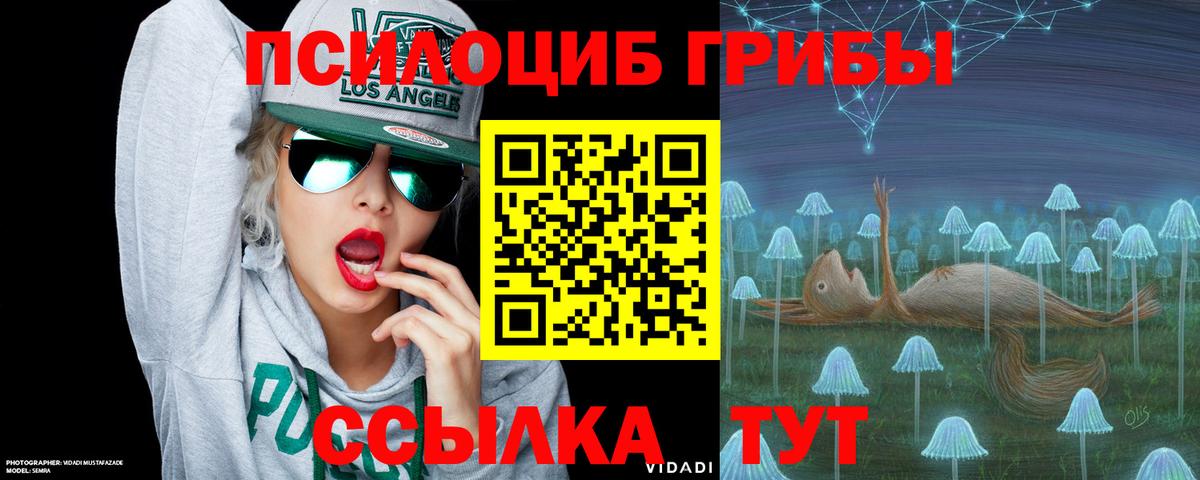 Галлюциногенные грибы Psilocybine cubensis Борисоглебск